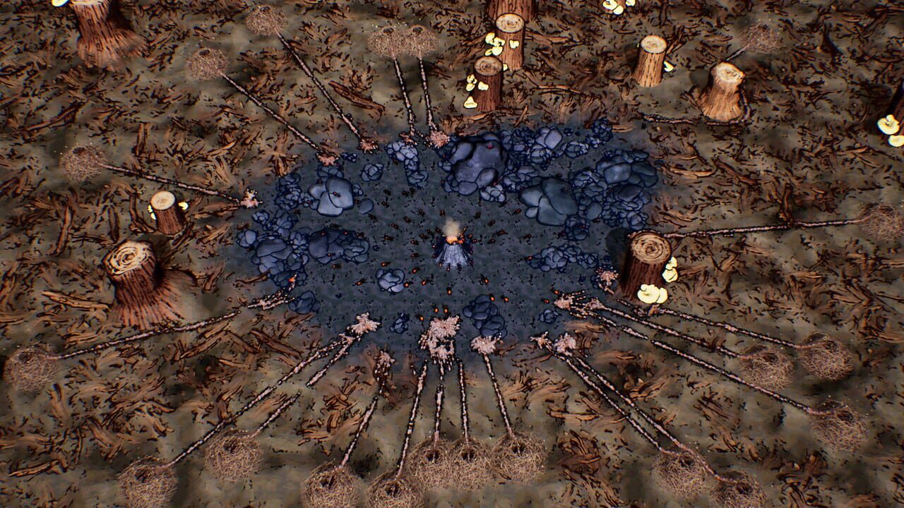 Ants Times Infinity Image
