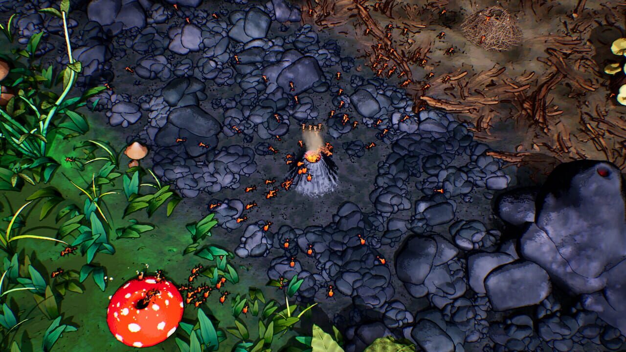 Ants Times Infinity Image
