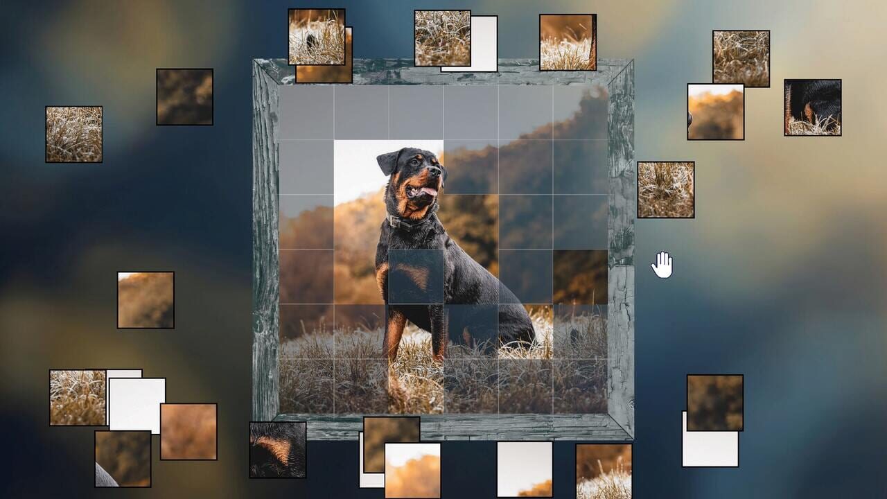 Shattered Frames Image