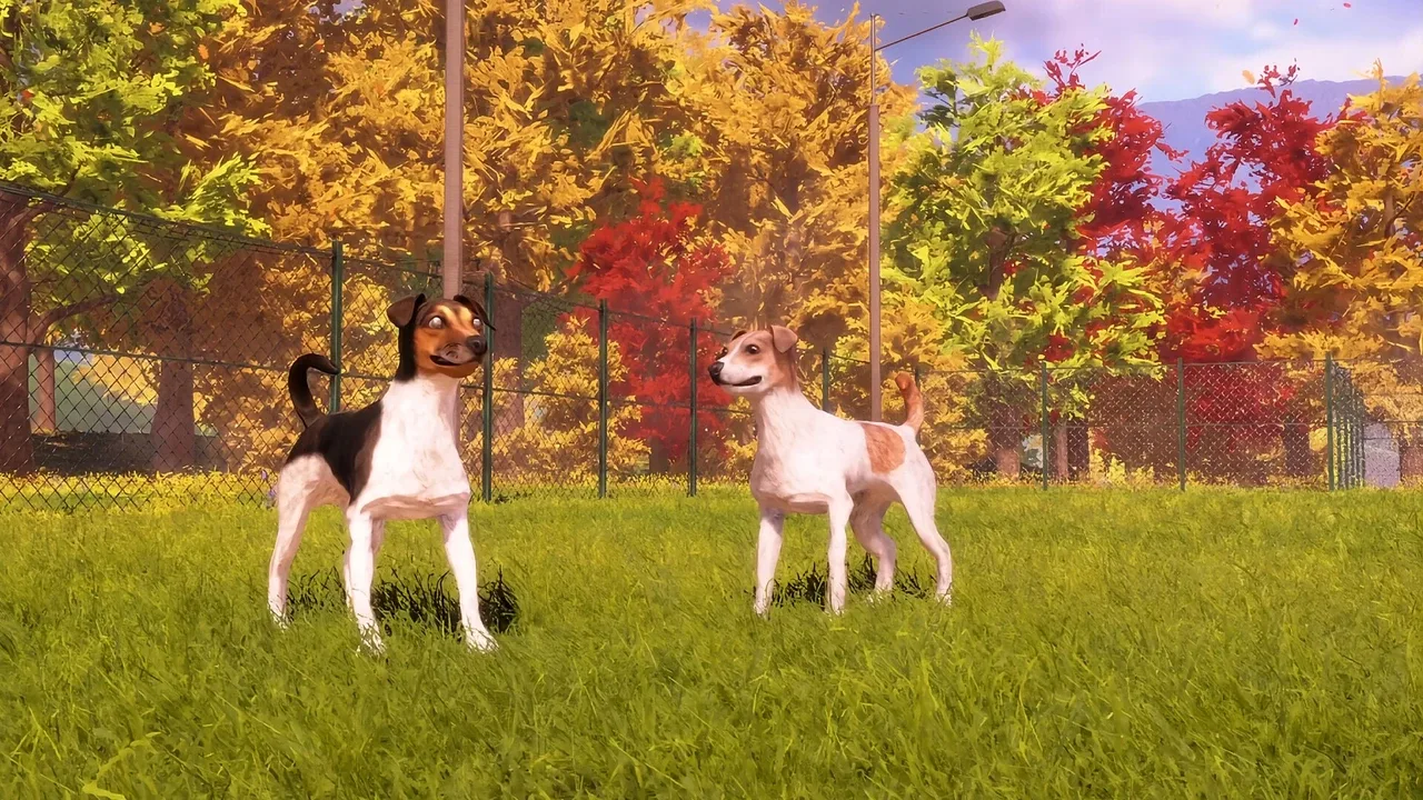 Animal Shelter 2: Hunting Dogs Pack screenshot 15