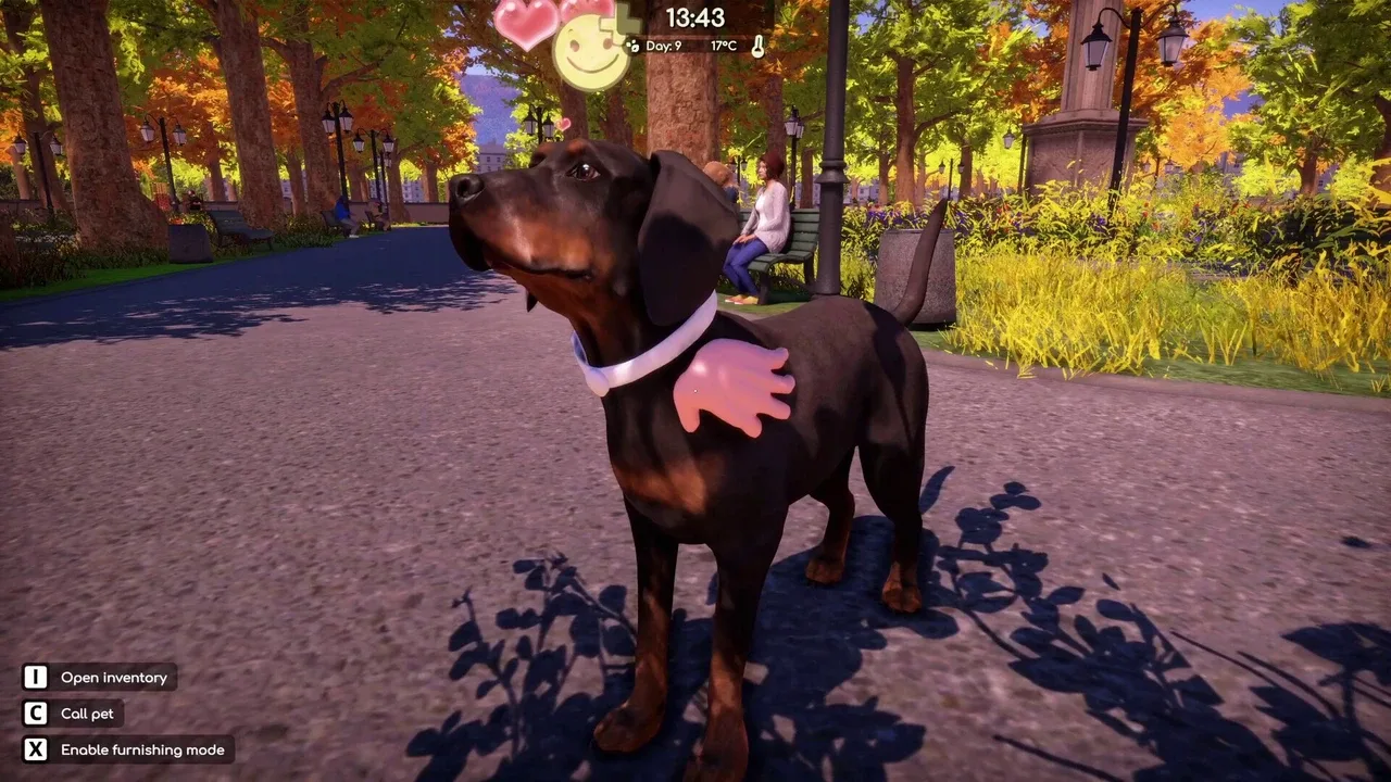 Animal Shelter 2: Hunting Dogs Pack screenshot 13