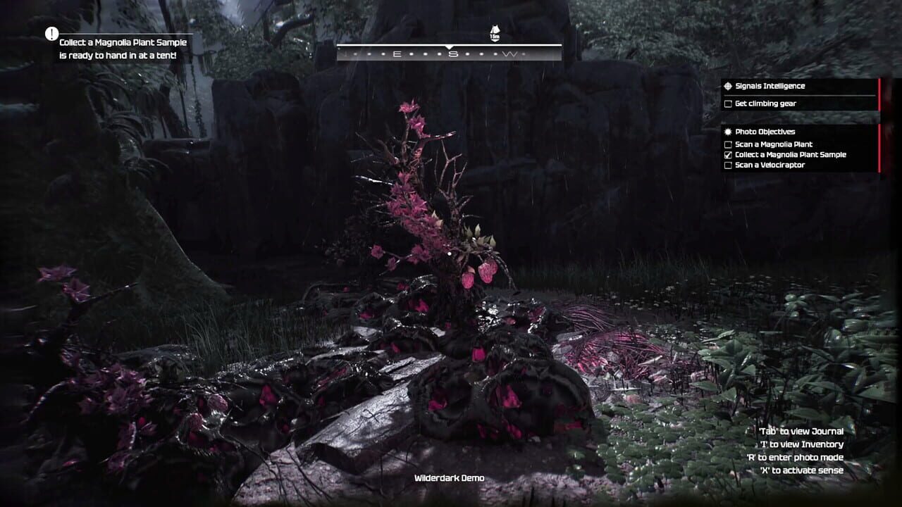 Wilderdark Image