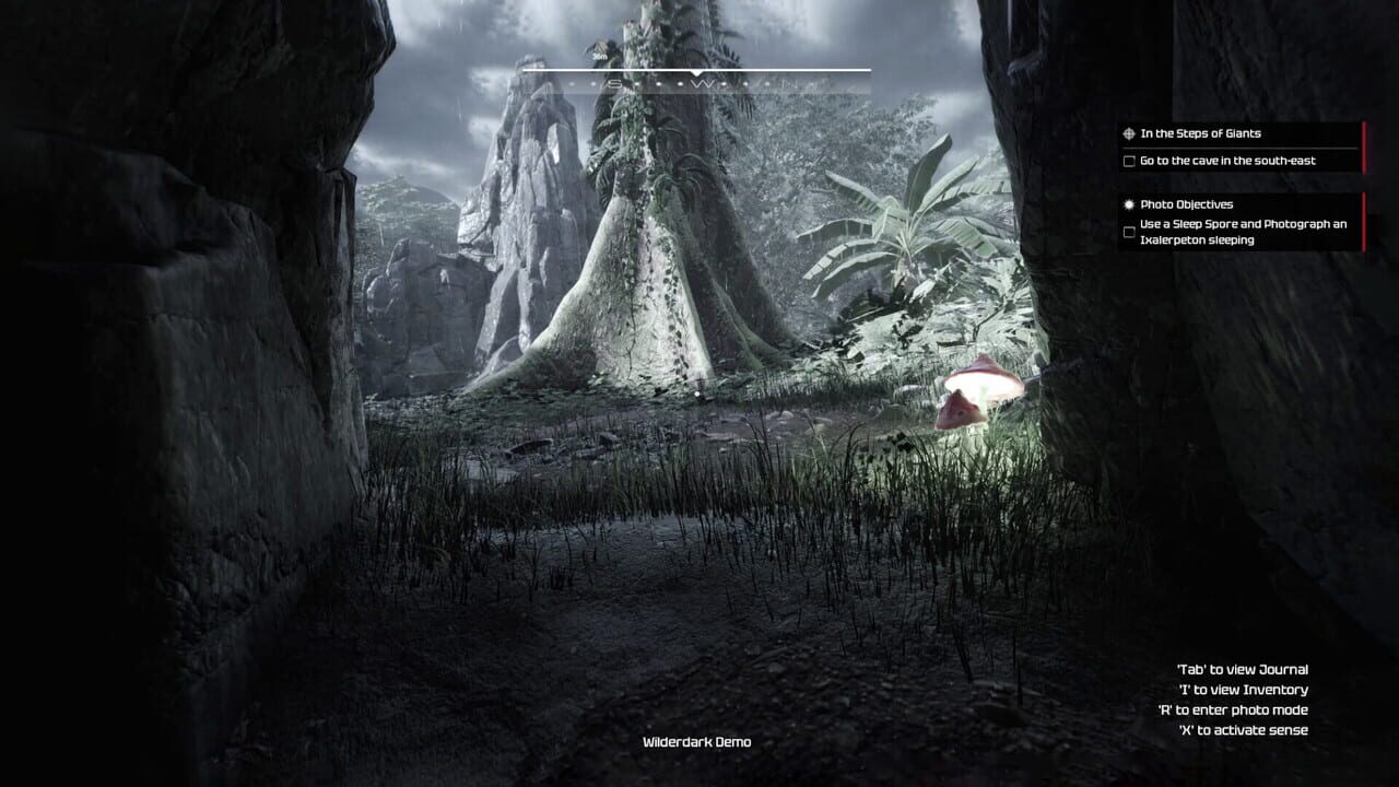 Wilderdark Image