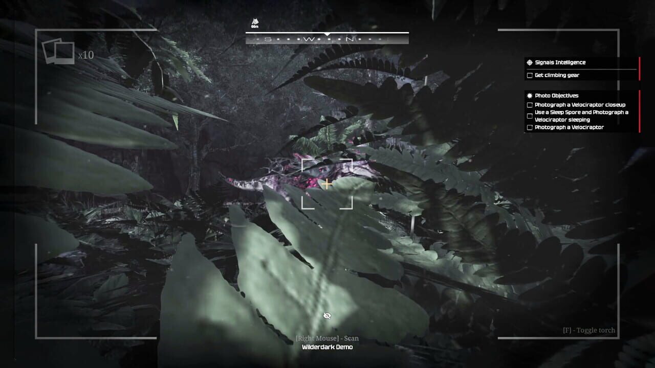 Wilderdark Image