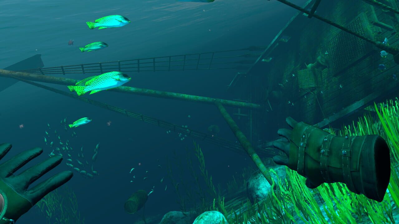 The Pirate: Republic of Nassau Image