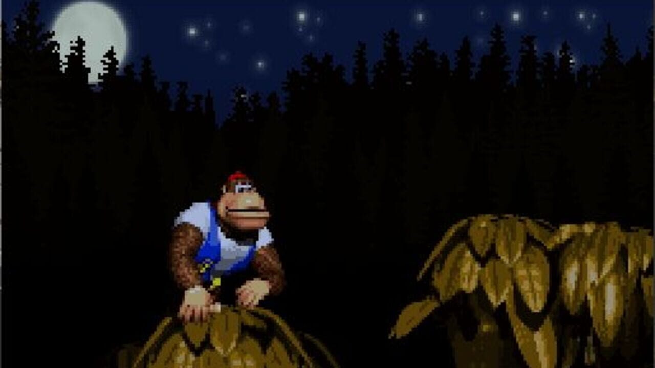 Donkey Kong Country 4: The Kongs Return — Screenshot 4
