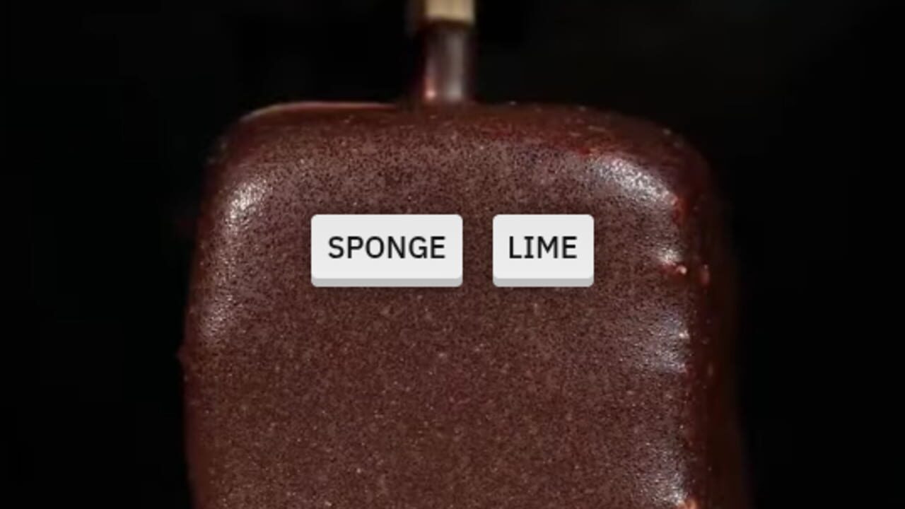 Sponge or Lime — Screenshot 1