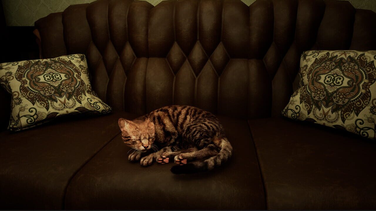 Meowmories — Screenshot 1