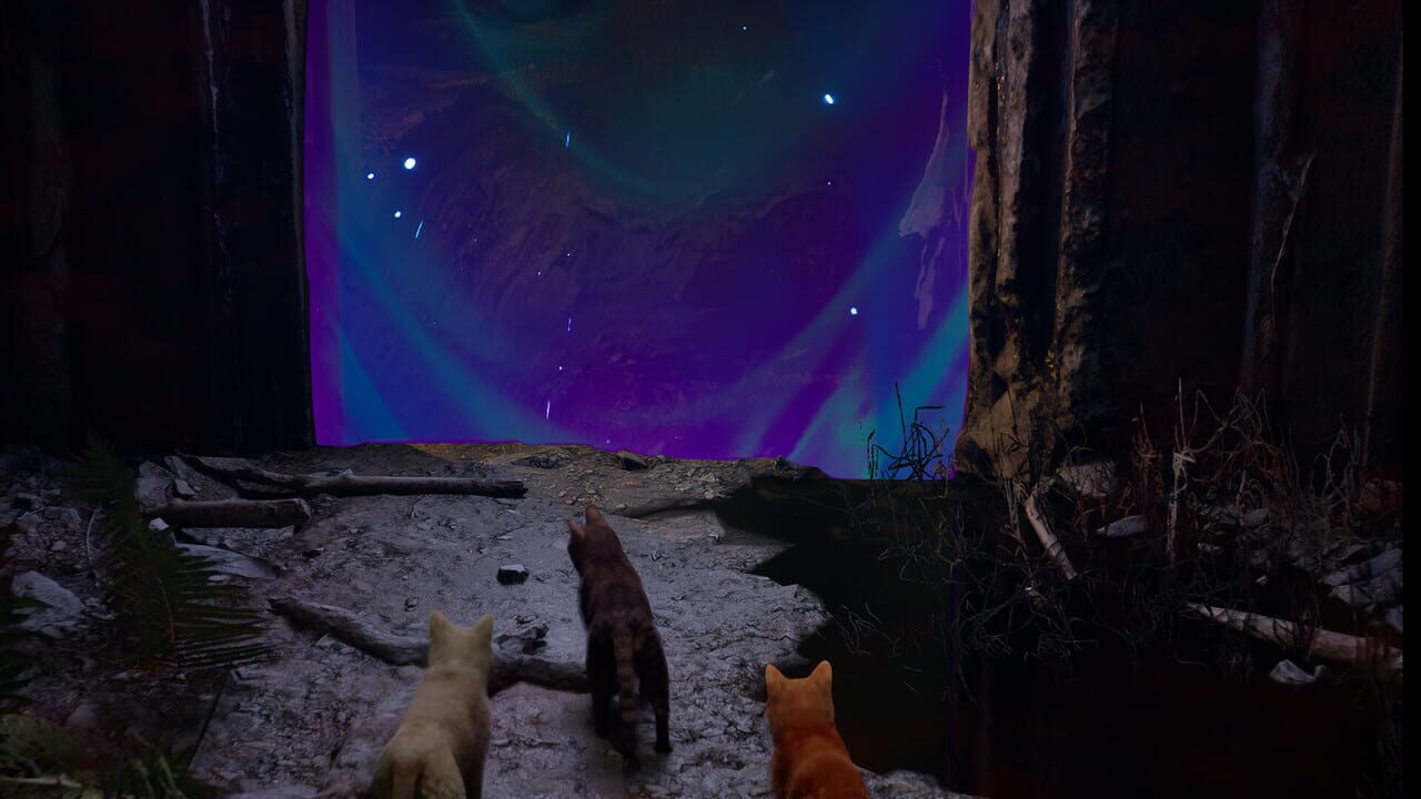 Meowmories — Screenshot 3