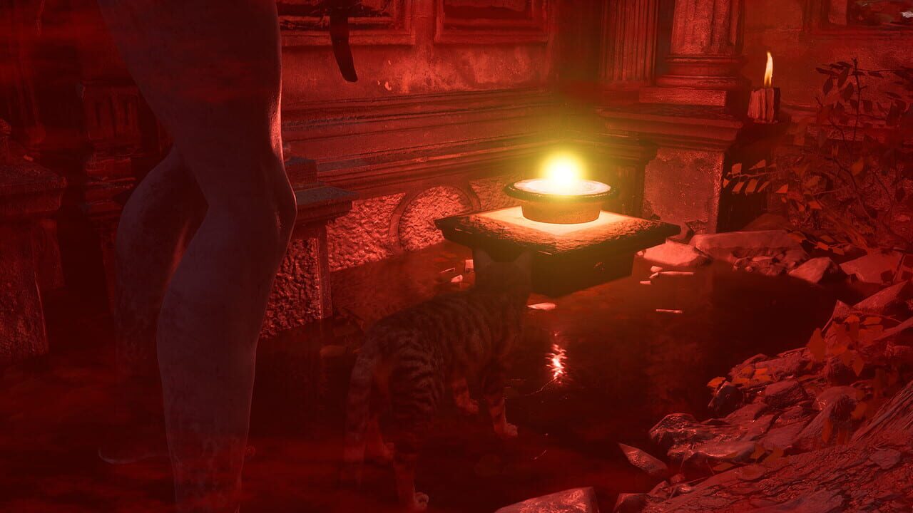 Meowmories — Screenshot 5