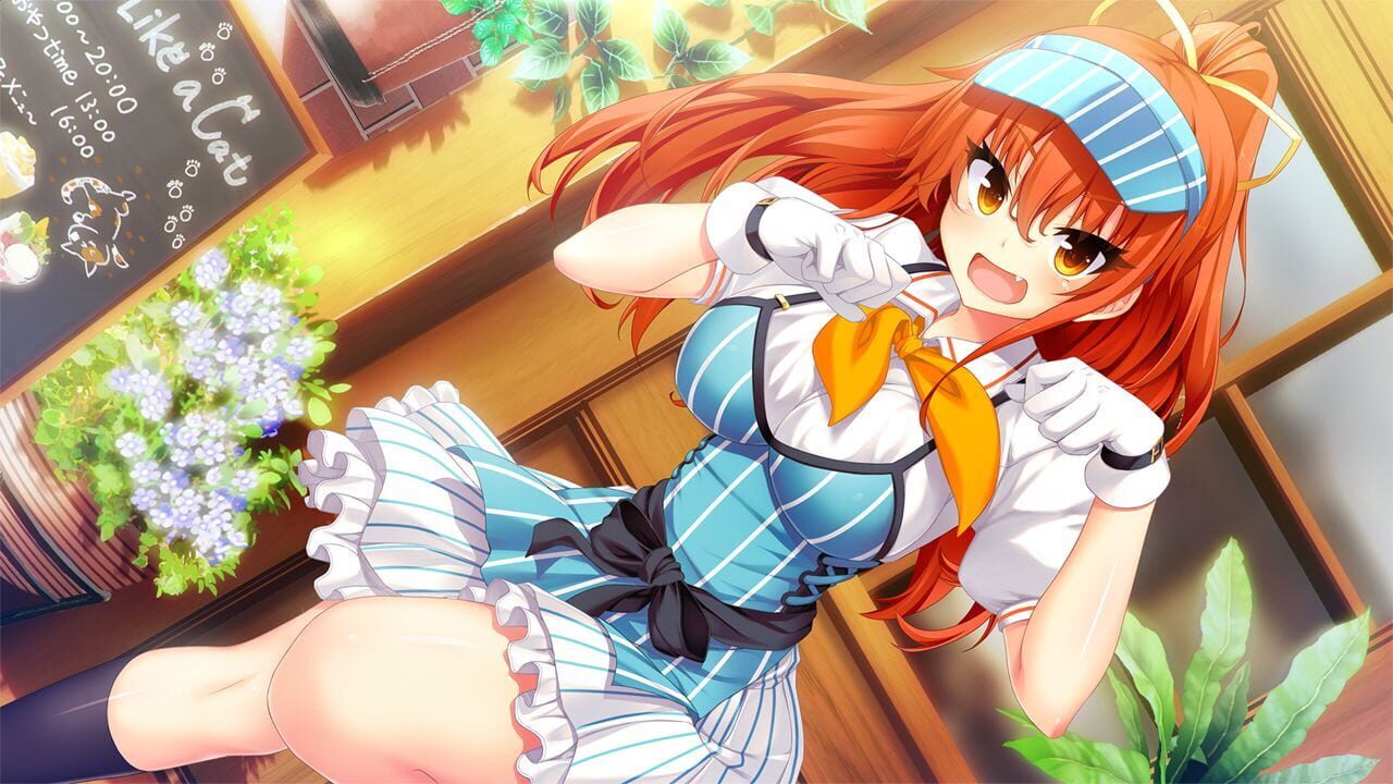 Nora to Oujo to Noraneko Heart HD Version — Screenshot 3
