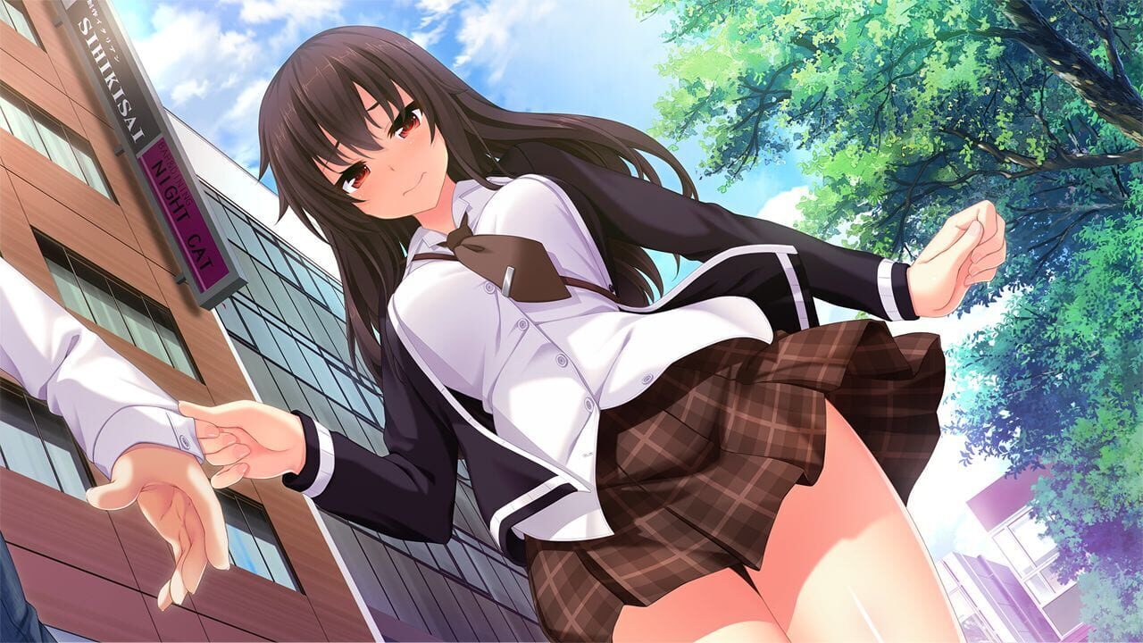 Nora to Oujo to Noraneko Heart HD Version — Screenshot 4