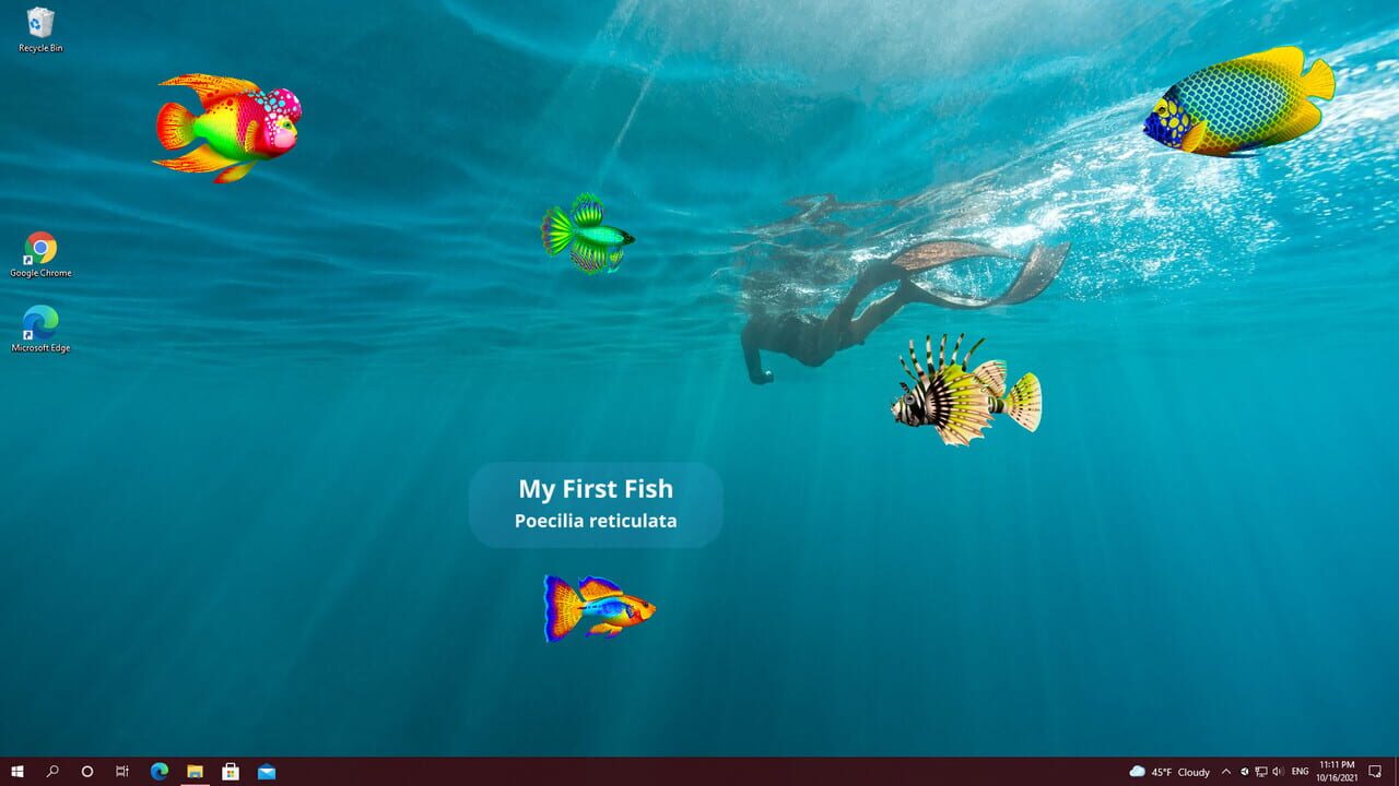 Virtual Aquarium Screenshot 1