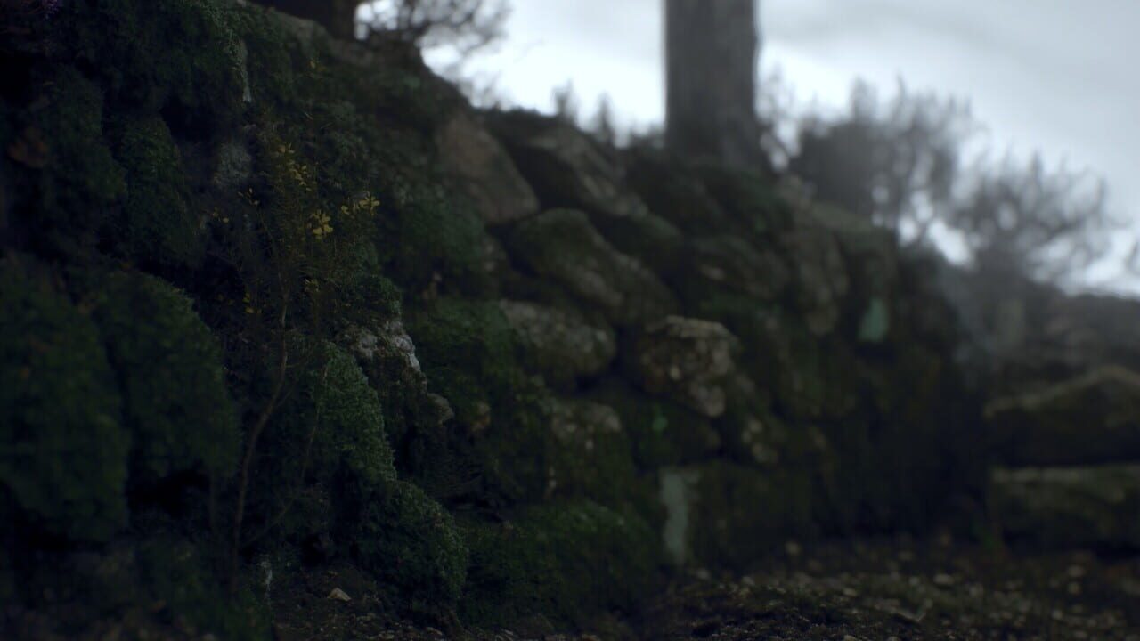 Ritual Tides — Screenshot 3