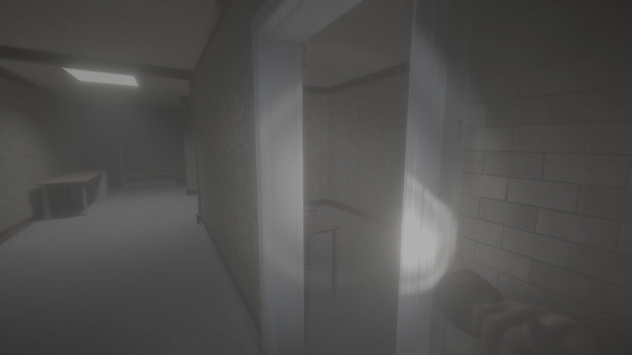 Capture 1 de Backrooms: The Incident