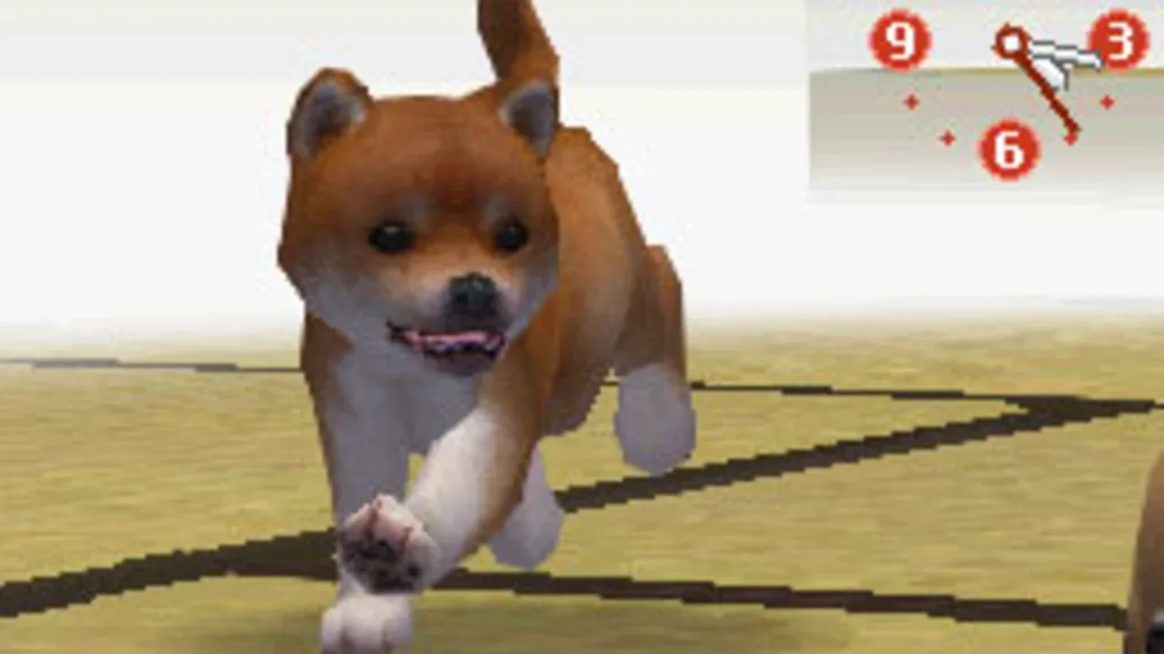 Nintendogs: Shiba & Friends screenshot 2