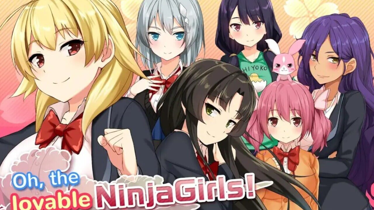 Moe! Ninja Girls Image