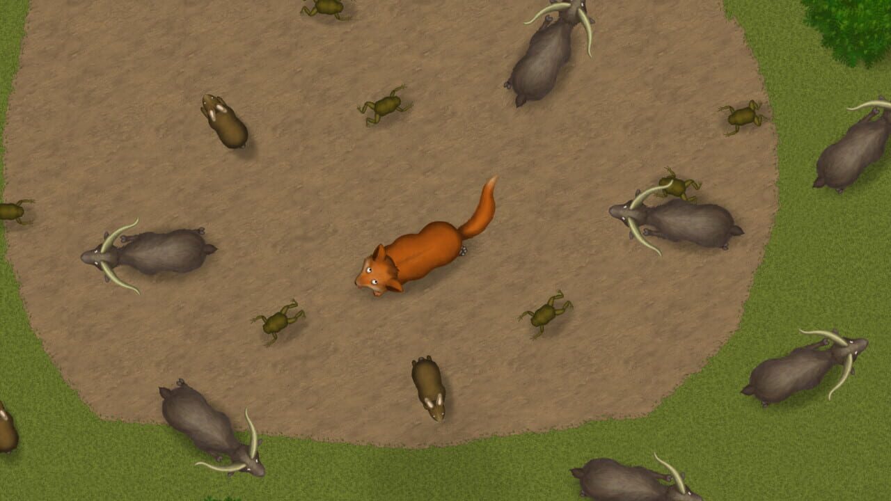 Screenshot 12