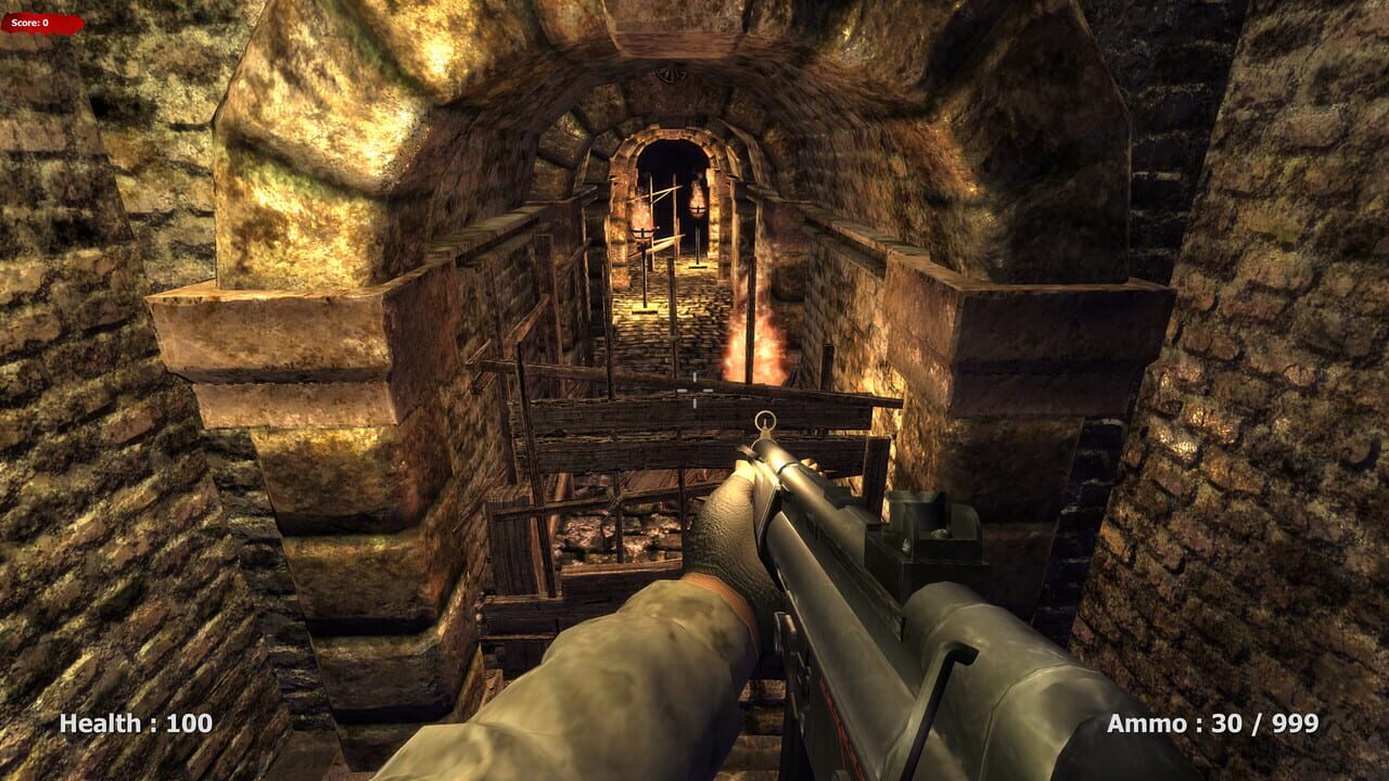 Medieval Survival — Screenshot 2