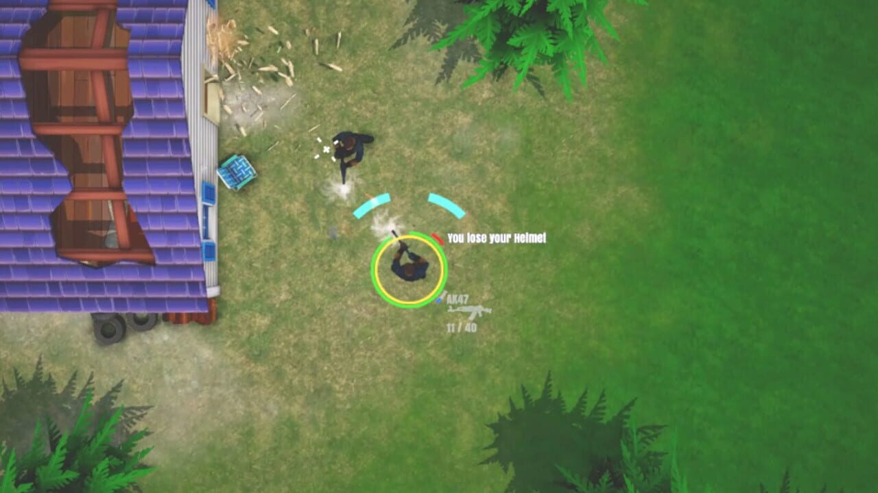 Top Down Survivor Image