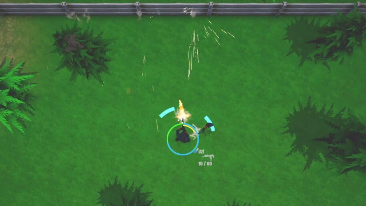 Top Down Survivor Image