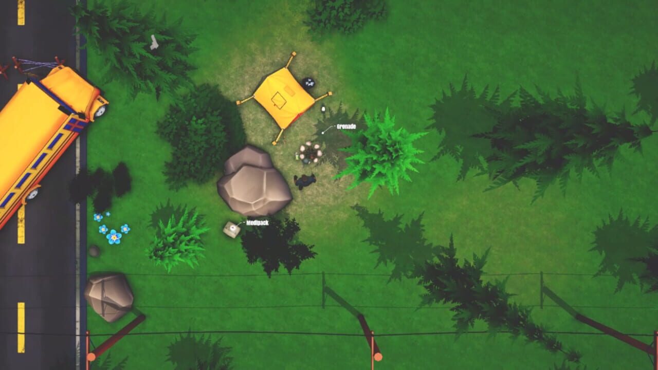 Top Down Survivor Image