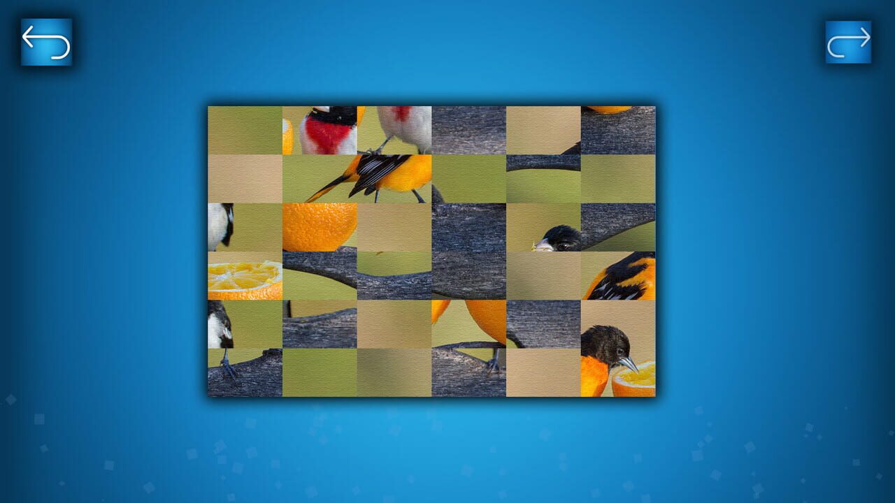 Puzzle: Birds Image