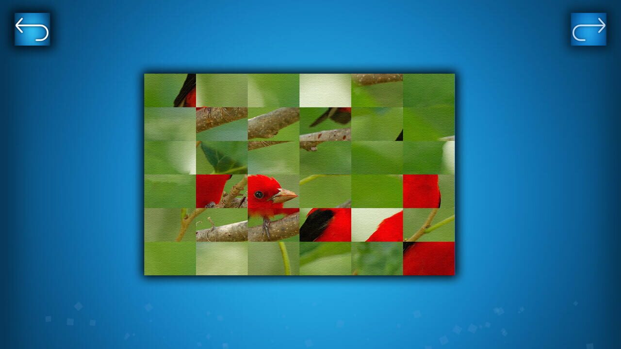Puzzle: Birds Image