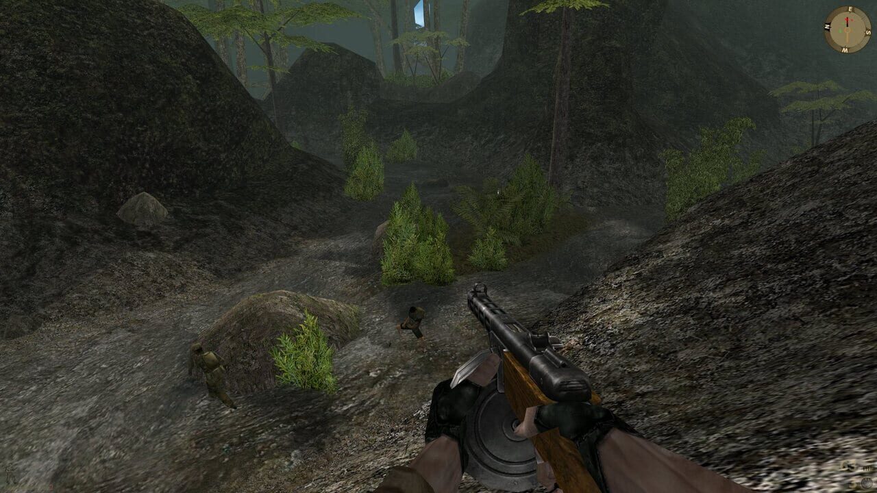 Vietcong Image