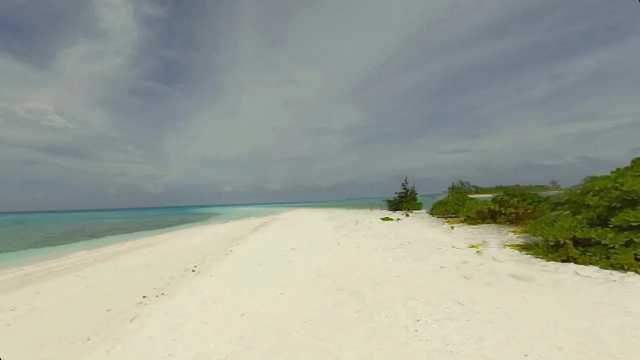 Perspectives: Paradise screenshot 3