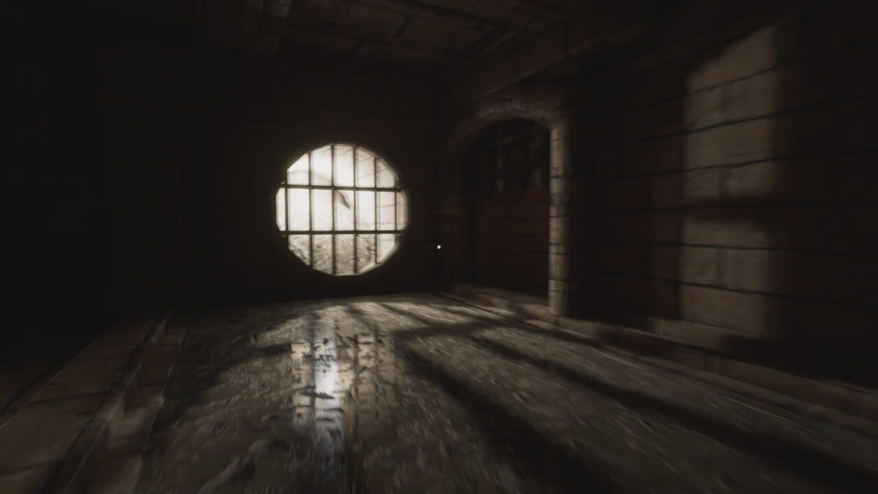 The Mirum Image
