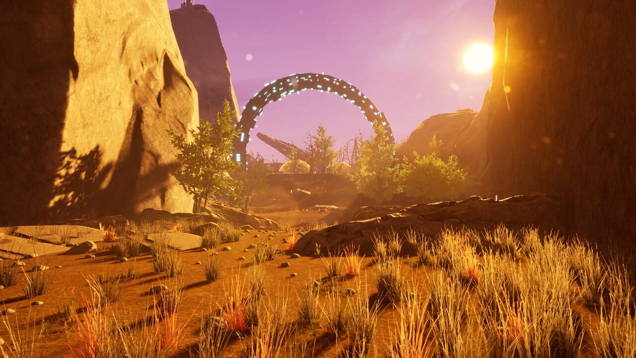 Within the Cosmos Image