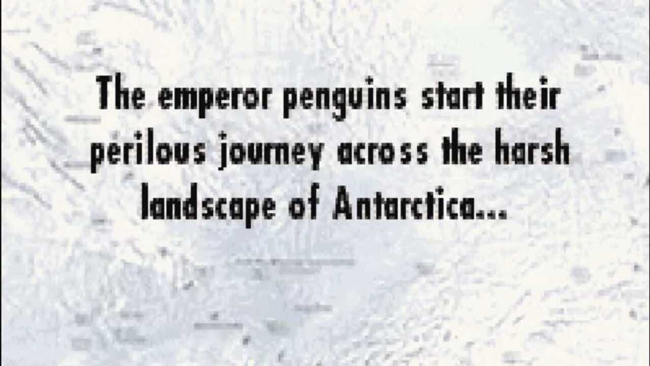 March of the Penguins — Screenshot 2