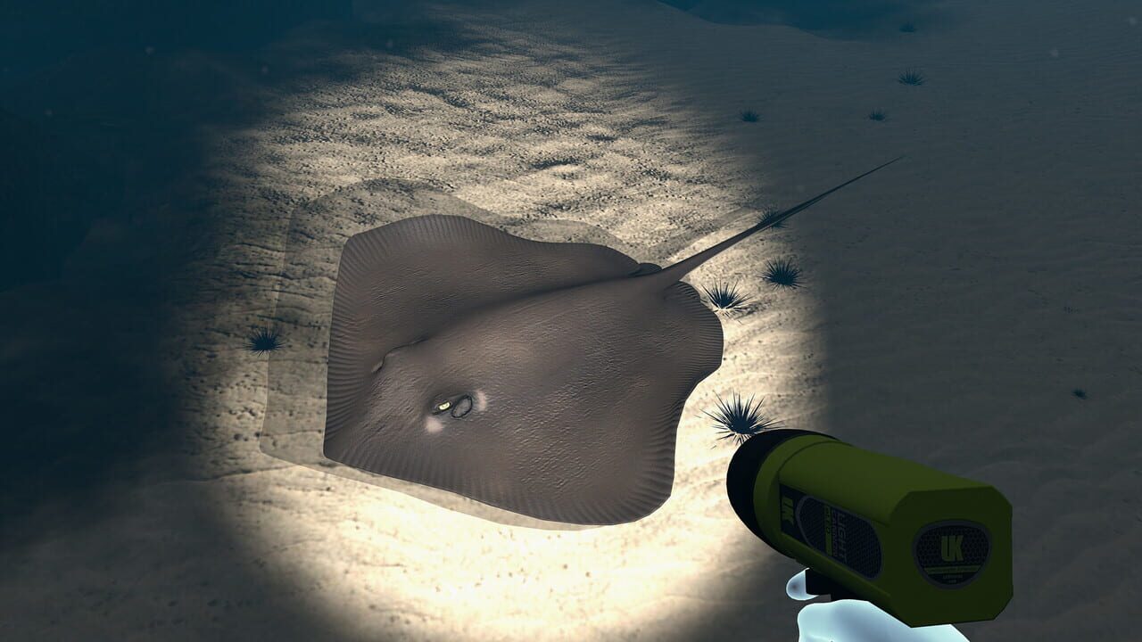 Screenshot 10