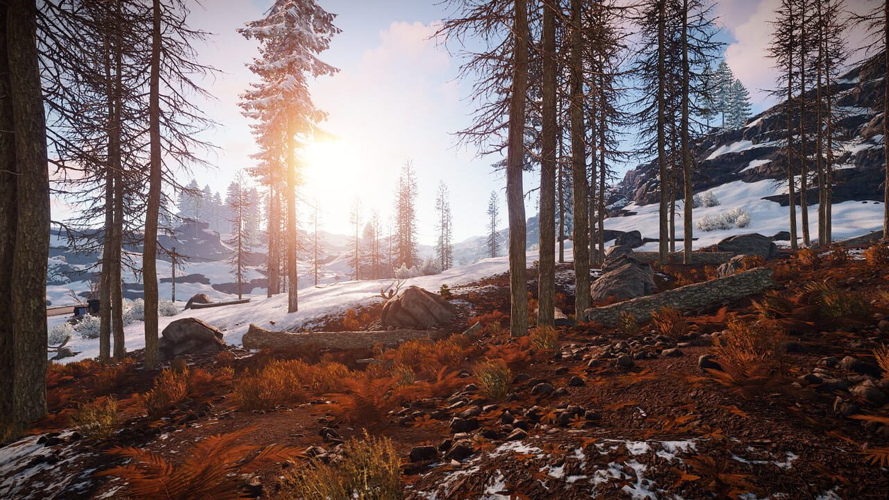 Screenshot 8 - Rust