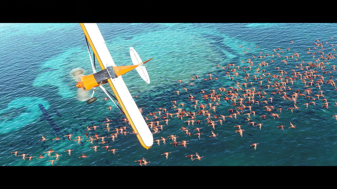 Screenshot 4 - Microsoft Flight Simulator