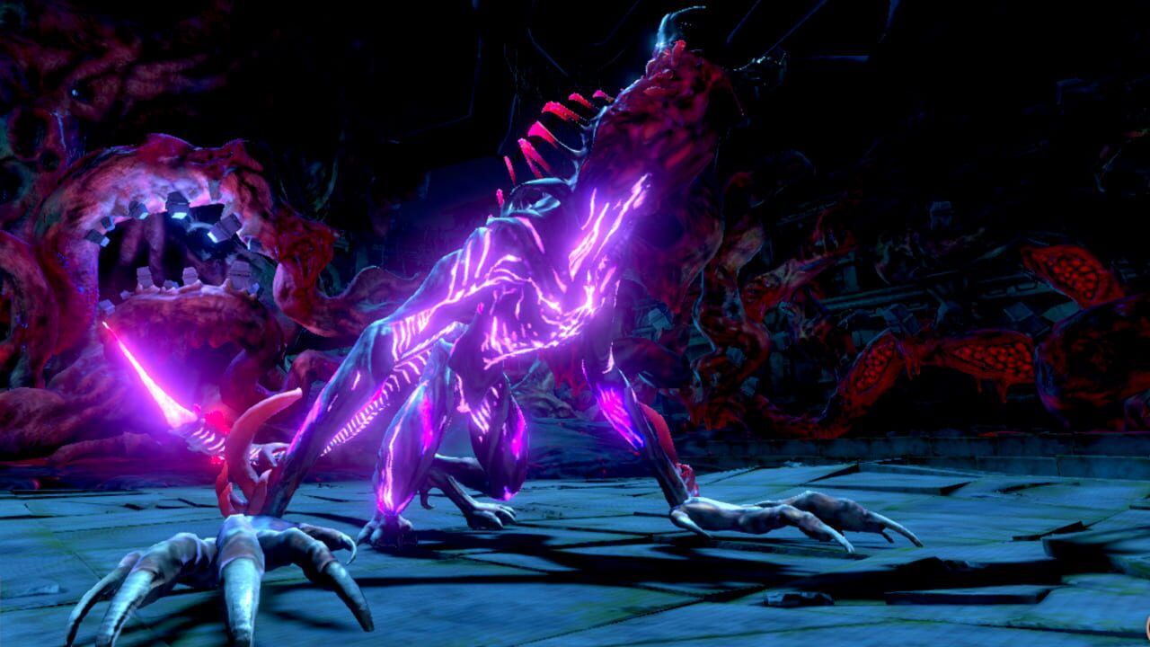 Neverinth: The Never Ending Labyrinth Image