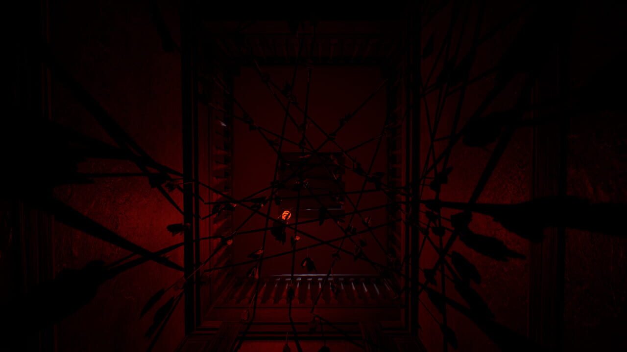 Diastone: Confusion — Screenshot 3