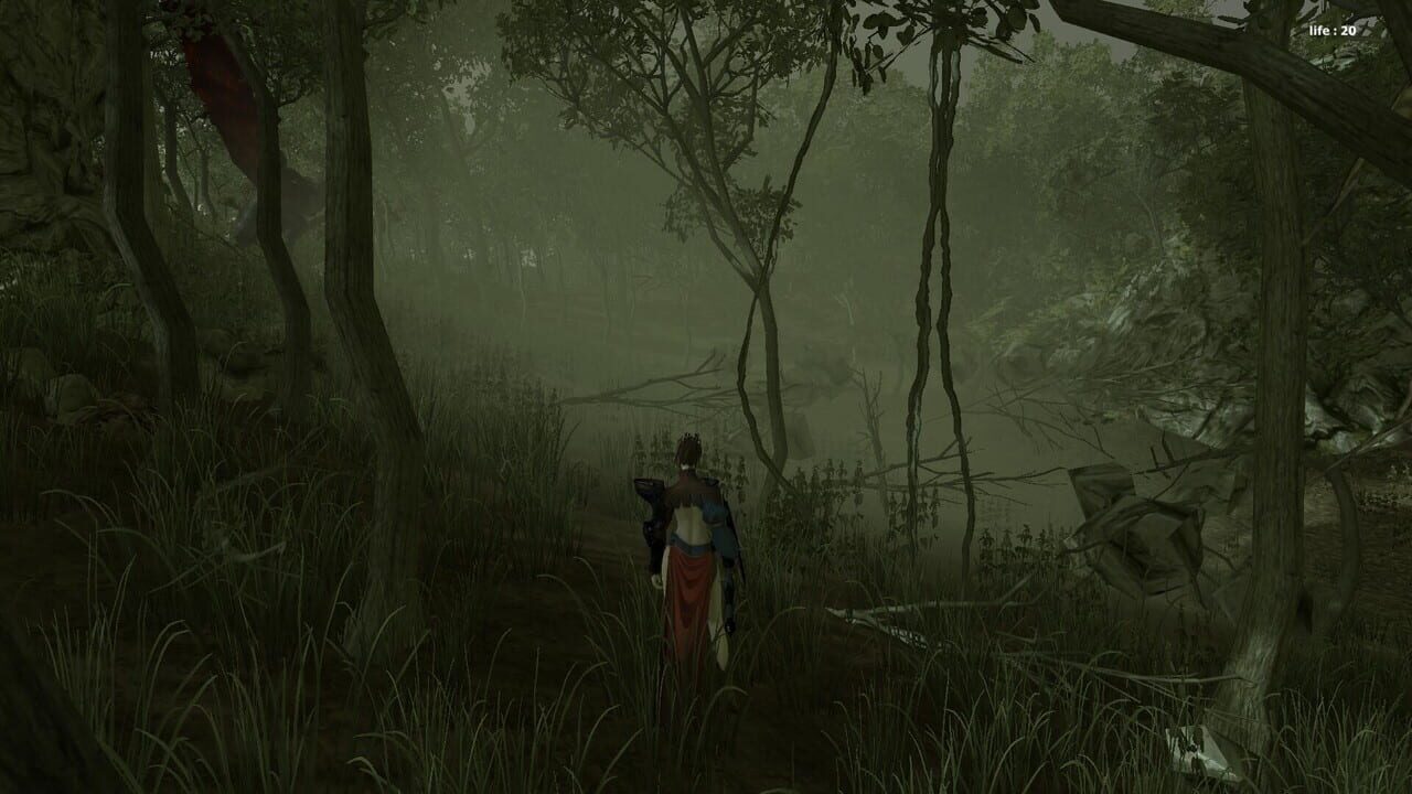 Forest Mage Image
