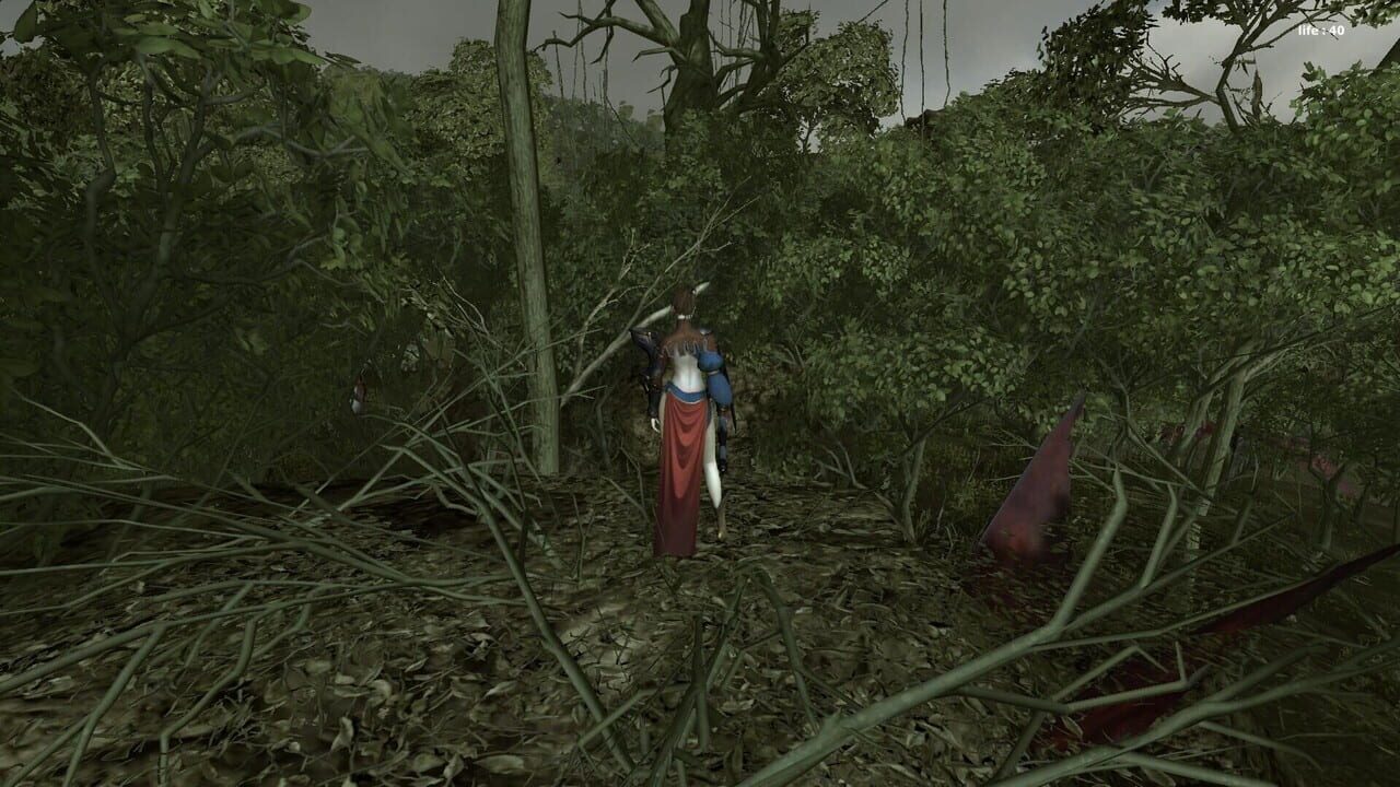 Forest Mage Image