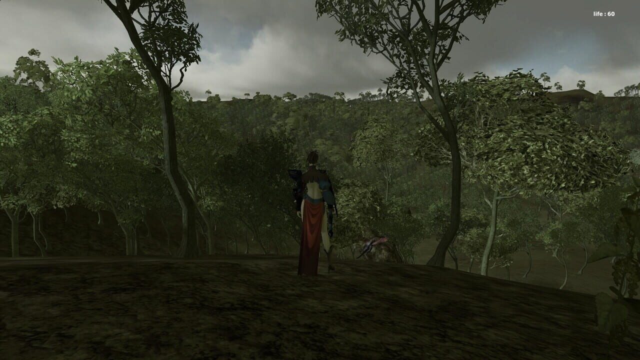 Forest Mage Image