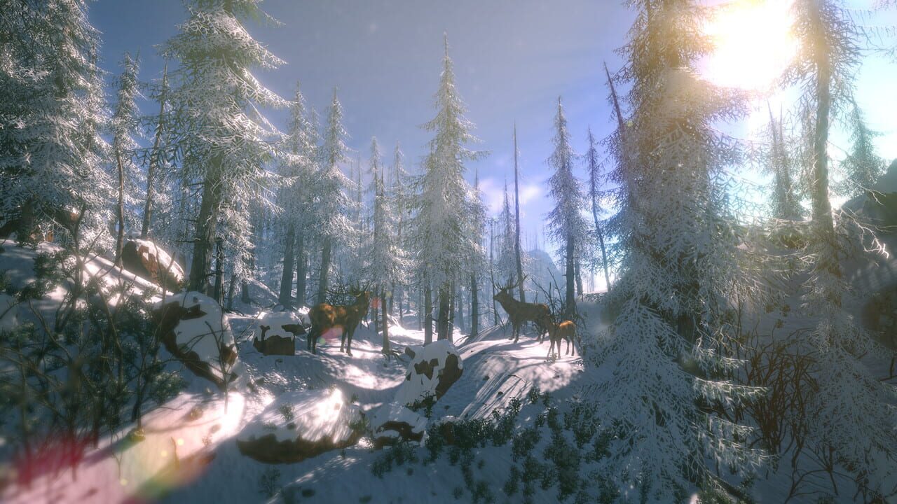FlowScape — Screenshot 2