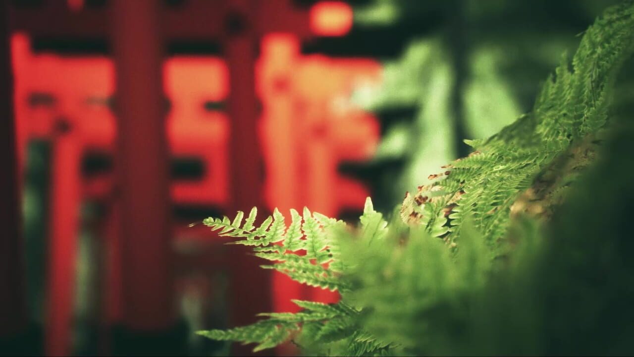 Explore Fushimi Inari Image