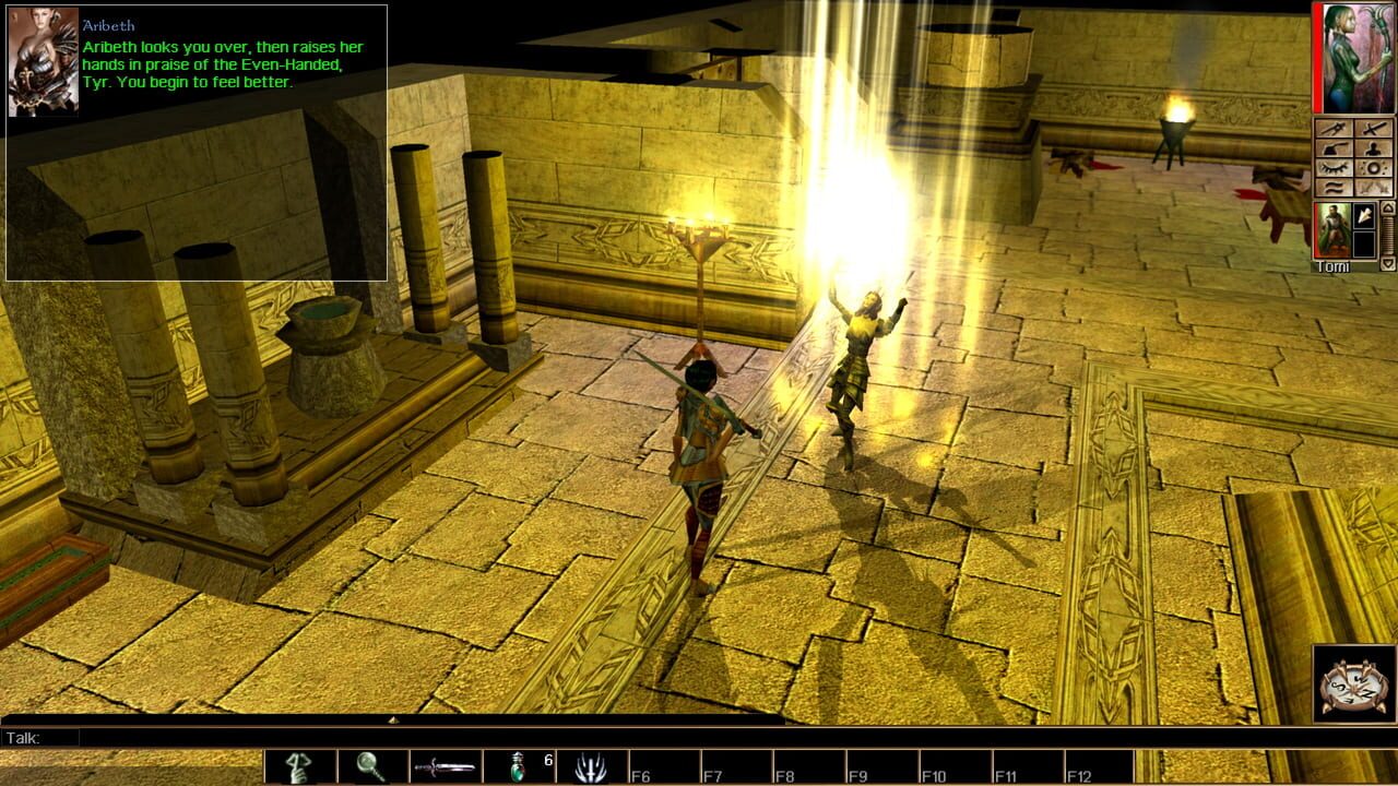 Neverwinter Nights: Enhanced Edition Image