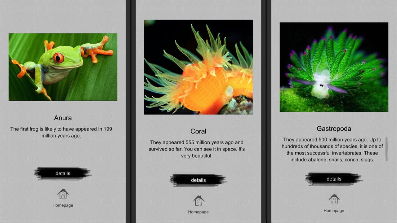 Jigsaw puzzle: Evolution — Screenshot 3