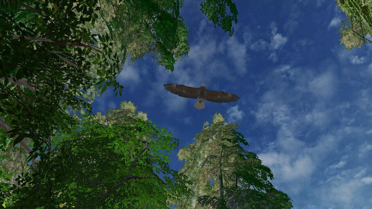 Safari Grounds - The Wilpattu Leopard — Screenshot 5