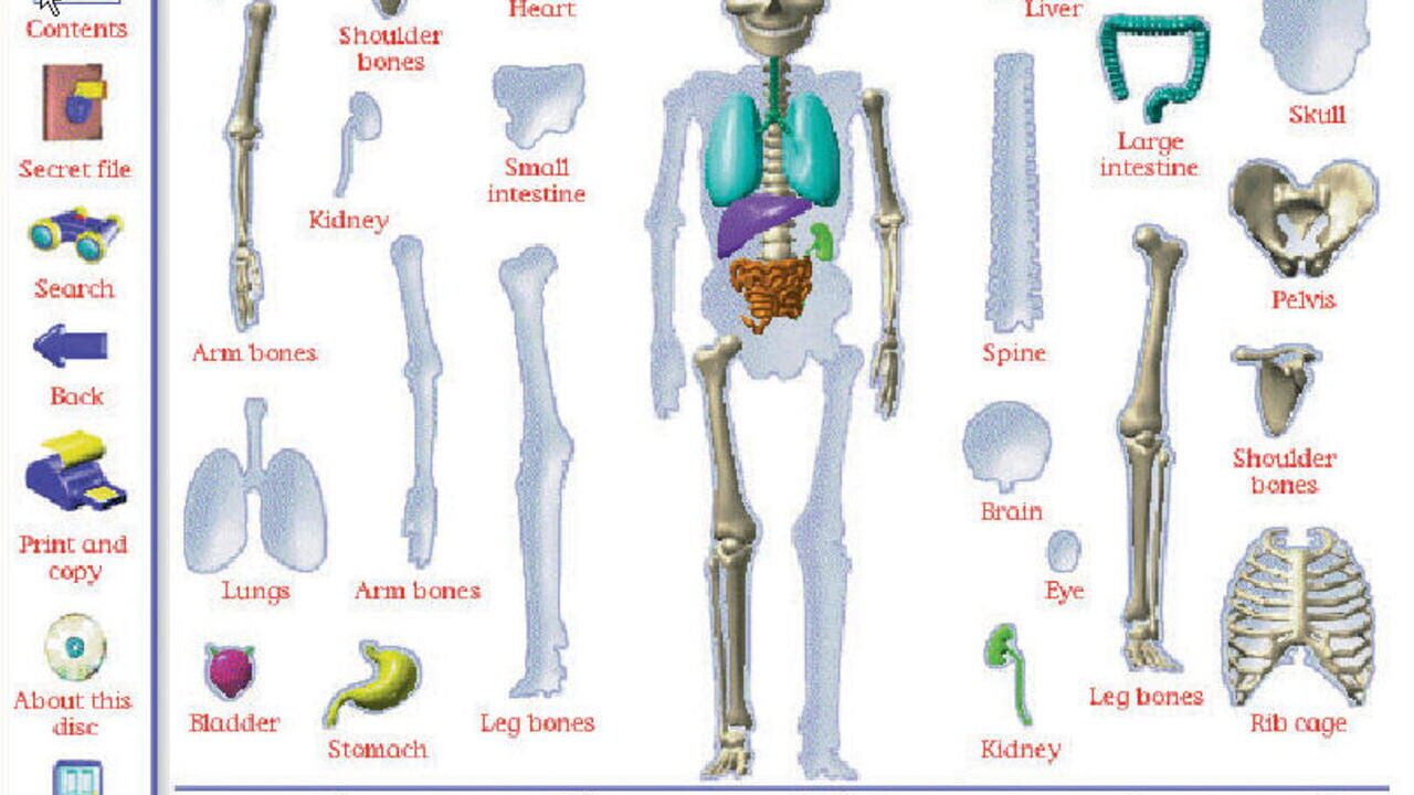 My Amazing Human Body — Screenshot 4