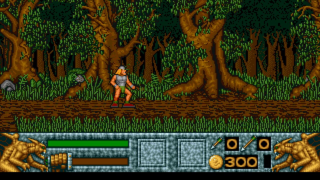 Barbarian II — Screenshot 5