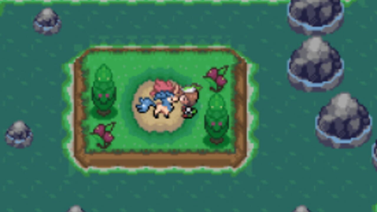 Pokemon Flora Sky