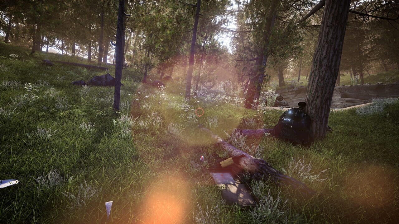 Forest Ranger Simulator Image